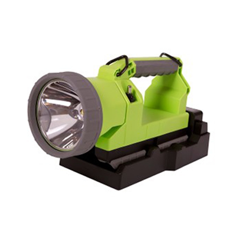 Lighthawk Vision-600