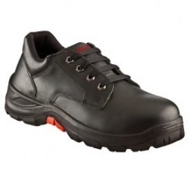 Aetos Cobalt